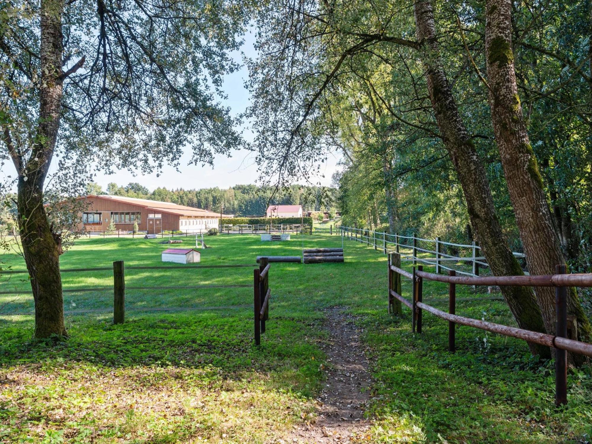 Holiday Home On A Horse Farm In The L Neburg Heath Eschede Zewnętrze zdjęcie