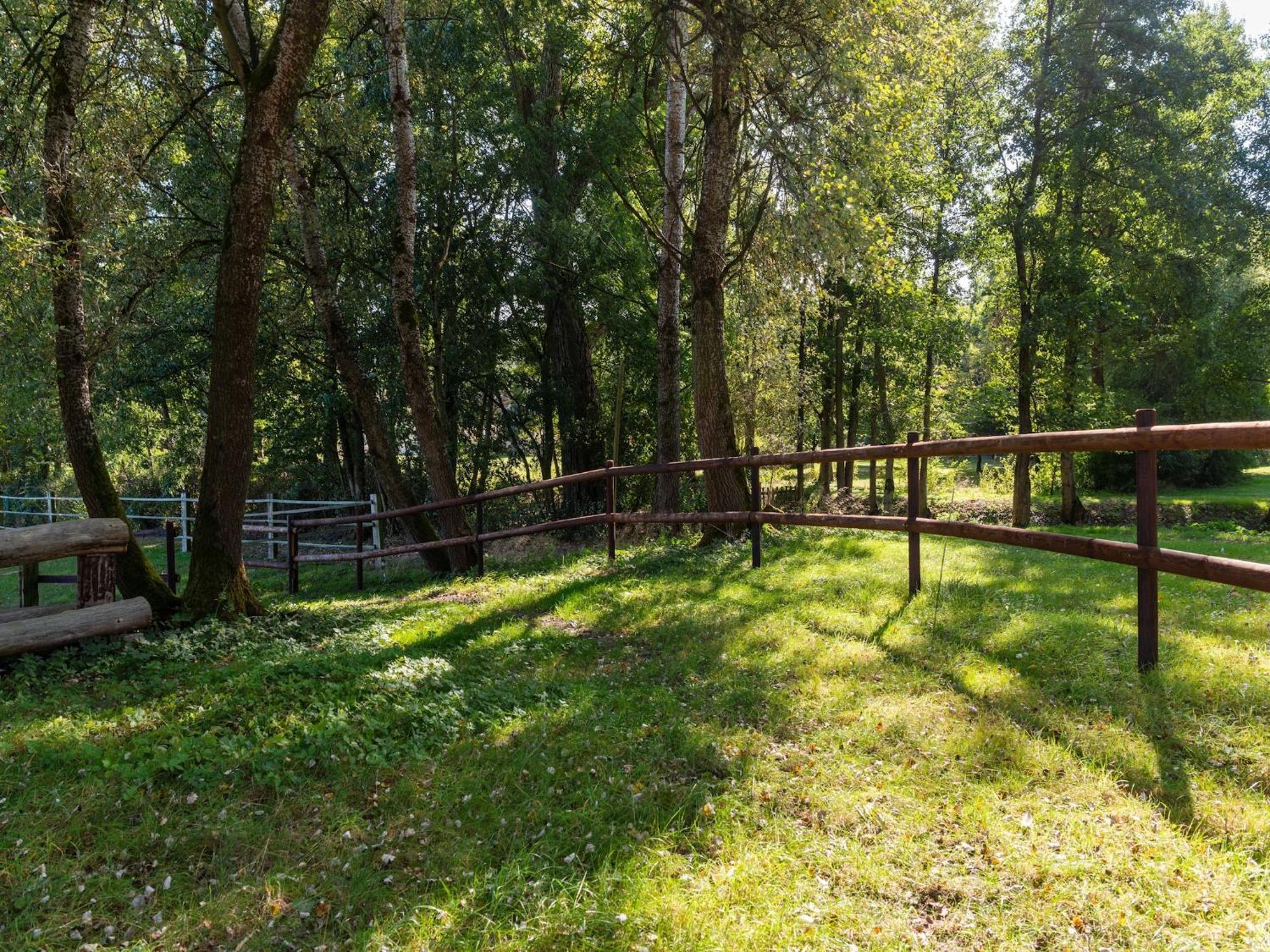 Holiday Home On A Horse Farm In The L Neburg Heath Eschede Zewnętrze zdjęcie