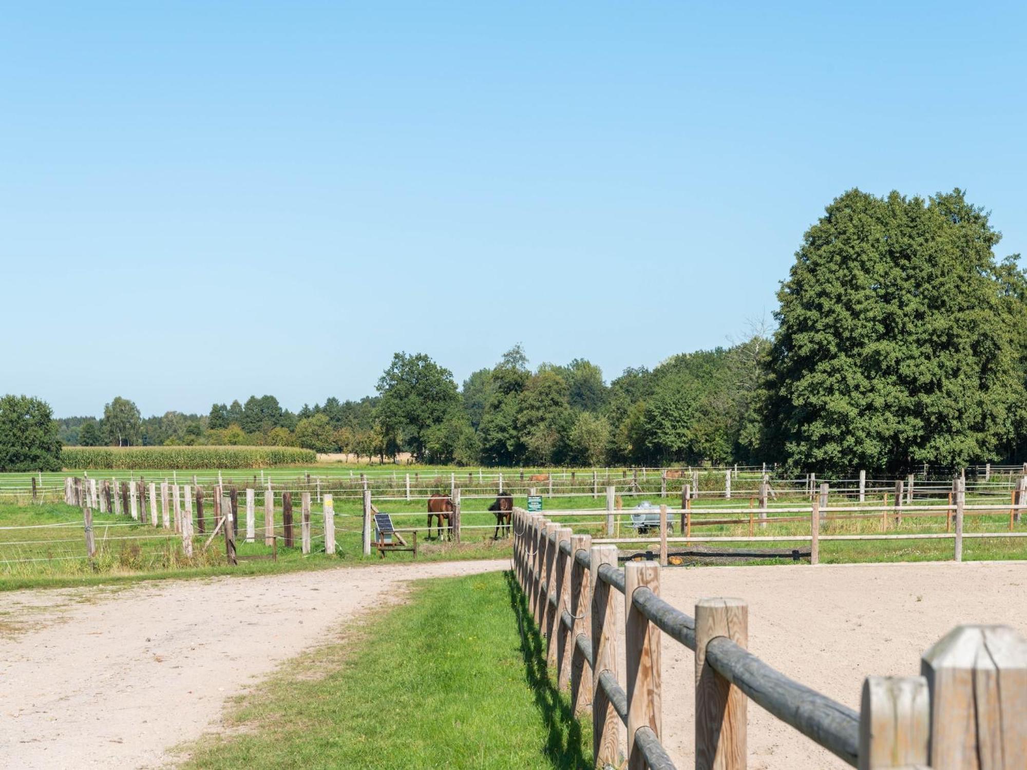 Holiday Home On A Horse Farm In The L Neburg Heath Eschede Zewnętrze zdjęcie