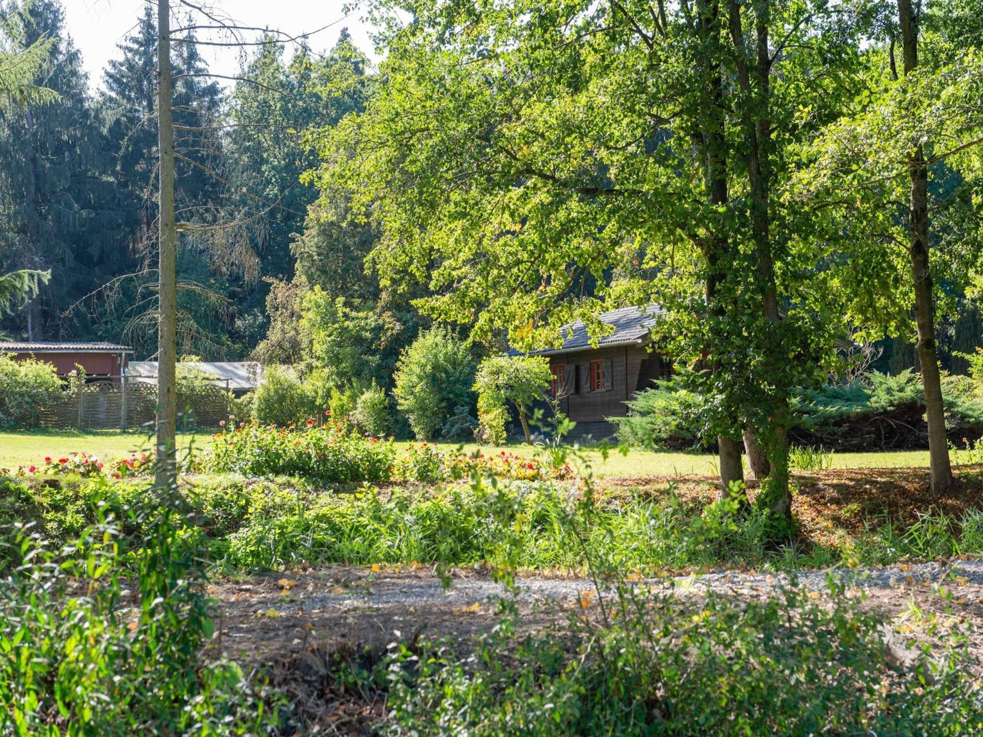 Holiday Home On A Horse Farm In The L Neburg Heath Eschede Zewnętrze zdjęcie